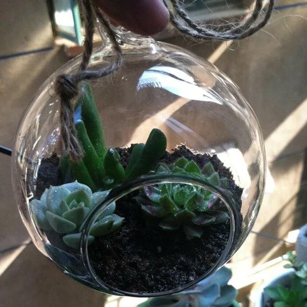6 st 10 cm Hängande Glaskula Klar Vas Blomkruka Planteringskärl Landskapsterrarium Behållare Bröllopsfest, Bröllopsdekoration