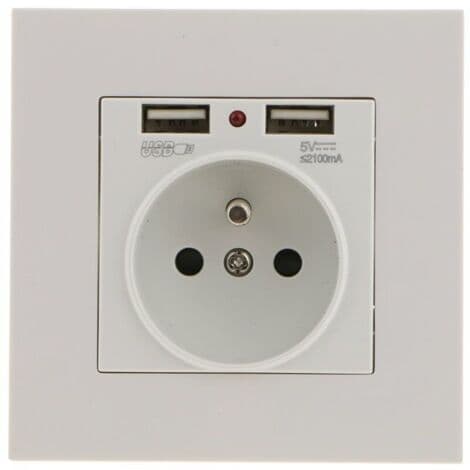 Stikkontakt med dobbelt USB-oplader – kompatibel med iPhone/Android – 1 stk.pa