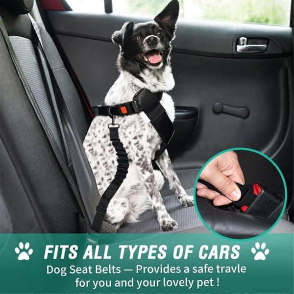 Bilhund Tjockt Nylon Koppel Elastiskt Rep Utdragbart Bilhund Koppel