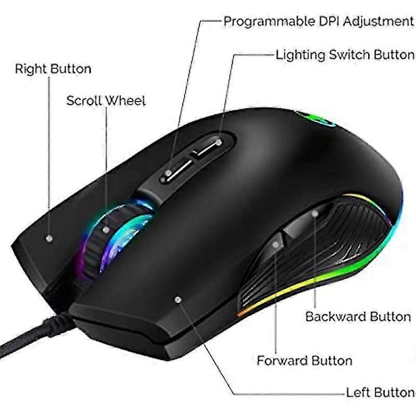 Mus, Type-C Ergonomisk Kablet Mus, RGB Optisk Mus (PA)