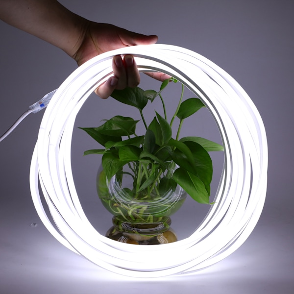 5M LED-stripe for utendørs bruk, BAGZY vanntett neonstripe 220V utendørs