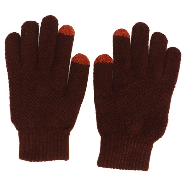 1 par uppvärmda handskar Pekskärmsladdning Uppvärmning Varmare Vadderat foder för vinterklättring Fotvandring Cykling