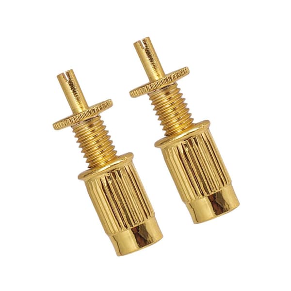 2 stk Gitarrstegspiker og ankere for LP-bro EPI Golden Style A 1 sett