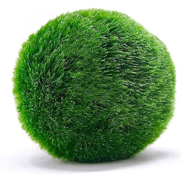 10 Marimo-sammalpalloa 2,5 cm, simuloitu vihreä leväpallo