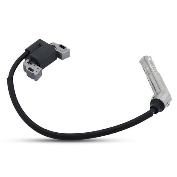 Sytytyspuola Magneto Ankkuri Yhteensopiva Briggs & Stratton 594626 595038 595304 Moottorin kanssa