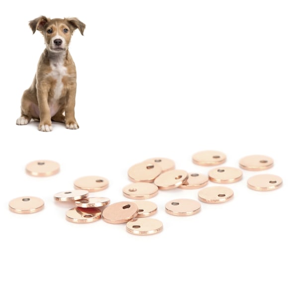 20 stk gjør-det-selv-rundt anheng i rustfritt stål hundemerke med hull Smykketilbehør Rose gull 6 mm