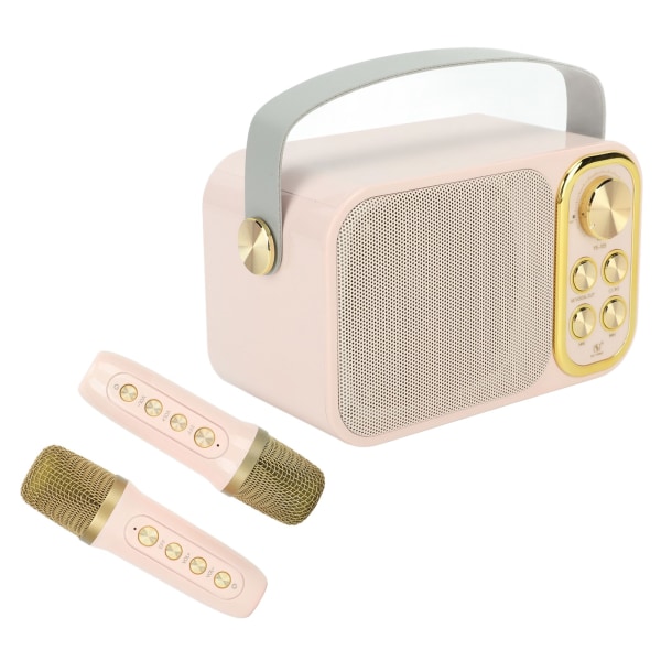 Karaokelaite kahdella mikrofonilla Karaoke All in One Machine Kannettava Bluetooth laulukone Home Party Pink
