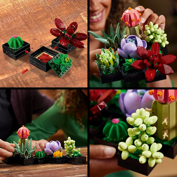 Ikea Succulenter Rumdekor, Byggset för Vuxna, Kreativa Leksaker, Present, Botanisk Byggset 10309