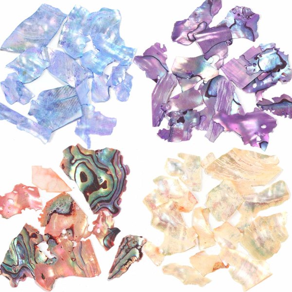12 färger Nail Art Holografisk Glitter Shell Paljetter Iriserande sjöjungfruflingor Sticker Manikyr Nail Art Supplies BK