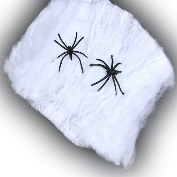 Halloween - spindelnät / spindelnät med 2 spindlar på vitt
