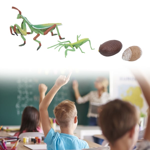 Growth Cycle Insects Legetøj Stærkt simulering Pædagogisk kognition legetøj til børn Børn