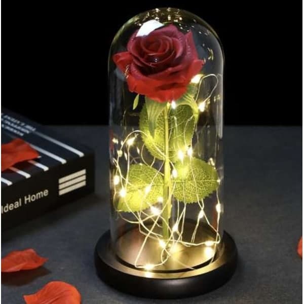 Rose i Glasskuppel - LED