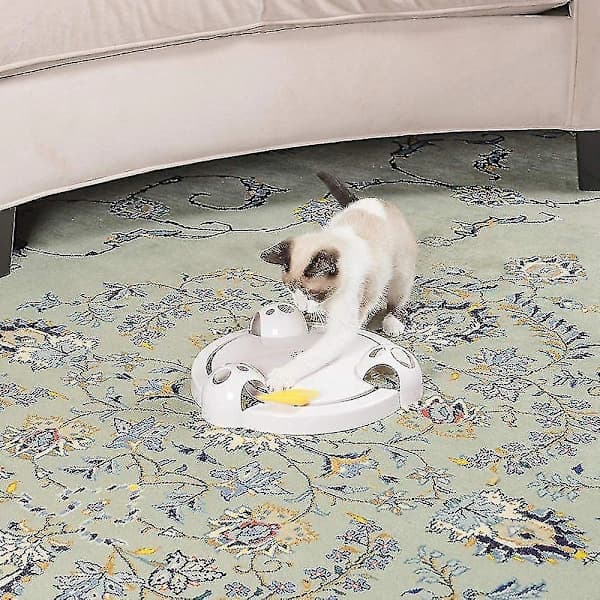 Pounce Cat Toy, Interactive Automatic Toy Adjustable Electronic Battery Operated Toy