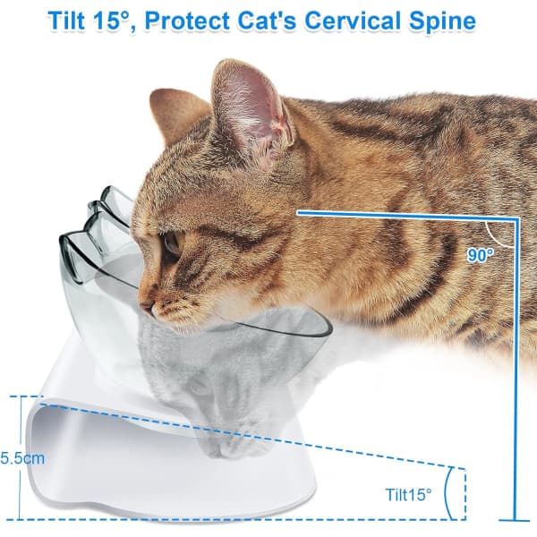 Double Elevated Cat Dog Bowls Raised Stand Feeder