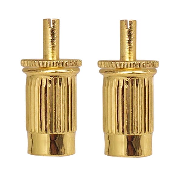 2 stk Gitarrstegspiker og ankere for LP-bro EPI Golden Style A 1 sett