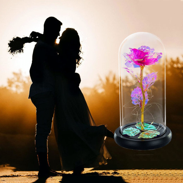 Led Enchanted Galaxy Rose Eternal 24k guldfolieblomma med älva