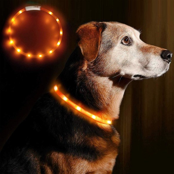 USB uppladdningsbart djurhalsband, lätt att upptäcka husdjur, orange ljus