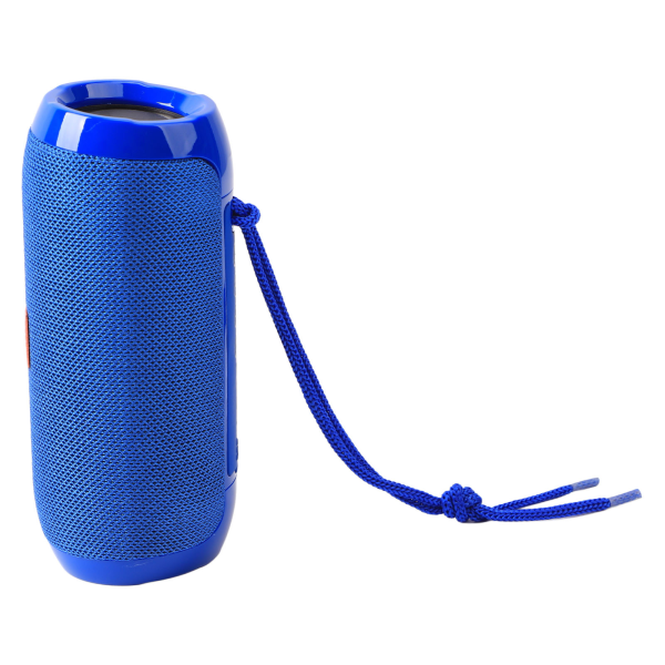Bærbar Bluetooth-højttaler Vandtæt dobbeltmembran Holdbar Bluetooth-subwoofer til udendørs blå