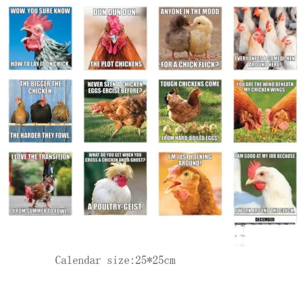 Funny Animal Calendar 2024 Kalender KYLLING KYLLING kylling chicken