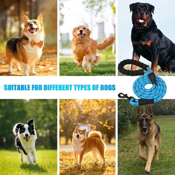 Dog Leash with Padded Handle and Highly Reflective Thread, Comfortable and Strong Training Leash for Small, Medium, and Large Dogs, 150 cm
