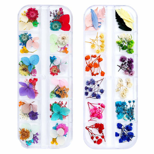 Torkade blommor för Resin Nail Art 3D, torkade blommor för naglar 2—PA