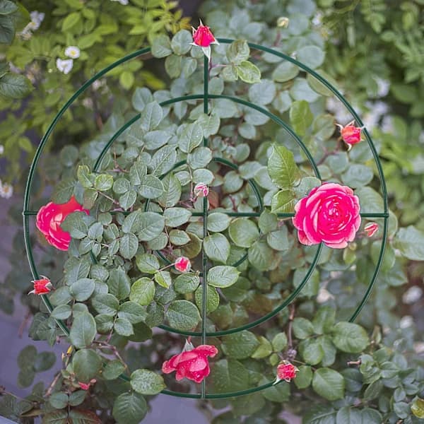 Pionstöd och växtstöd med ring och 3 ben, 3-pack (45 cm)