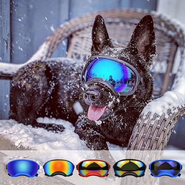 Justerbara hundglasögon Anti-UV-solglasögon för husdjur 5 5