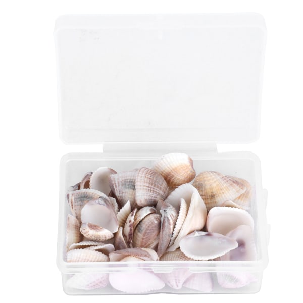 Gör-det-själv hantverk naturliga skal smycken göra Beach Party Bröllop Sea Shells dekorationer