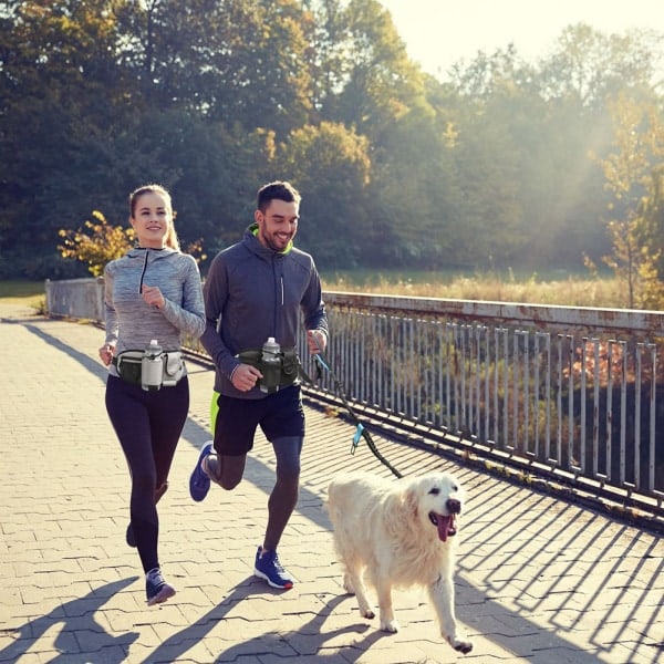 Hundepromenader Fanny Pack med handsfree koppel Justerbar löpar midja Pack Svart