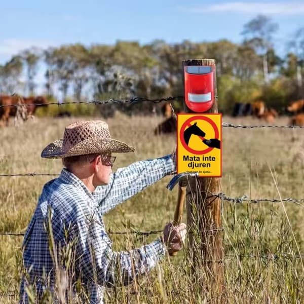 Do Not Feed The Animals - Warning Sign - Sign—pa