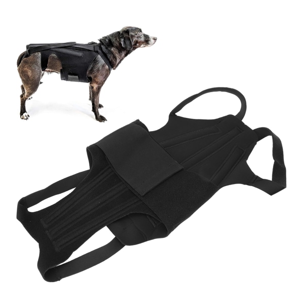 Dog Back Bracer Polyester Stærk stivhed Fleksibel rygstøttevest til gåture S