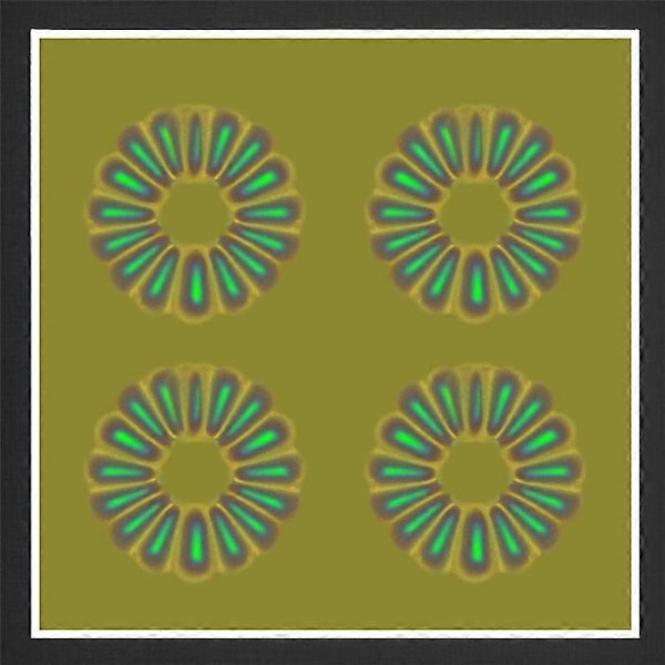 Magnetisk feltvisningsfilm, magnetisk feltdetektor til at se magnetfelter til videnskabeligt projekt T.pa
