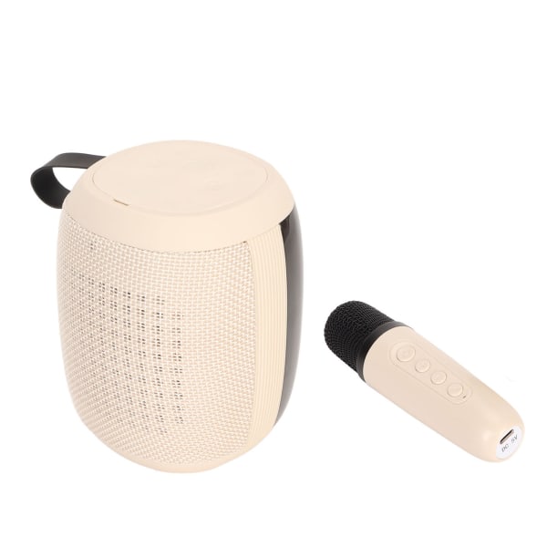 Mikrofon Bluetooth högtalare RGB Light Mini Karaoke-maskin med enkelmikrofon för hushållsfest Vit