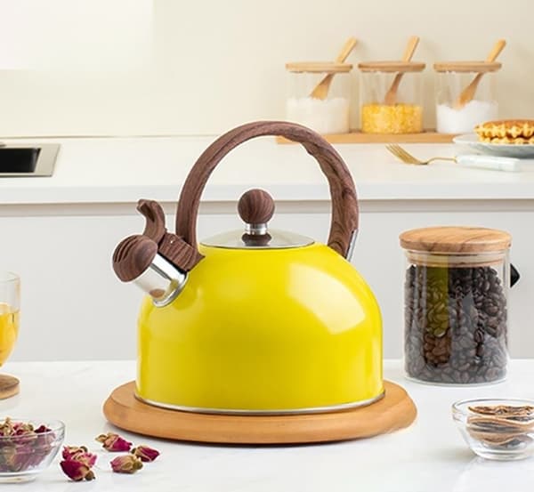Visslande kedel 2,5 L rustfrit stål