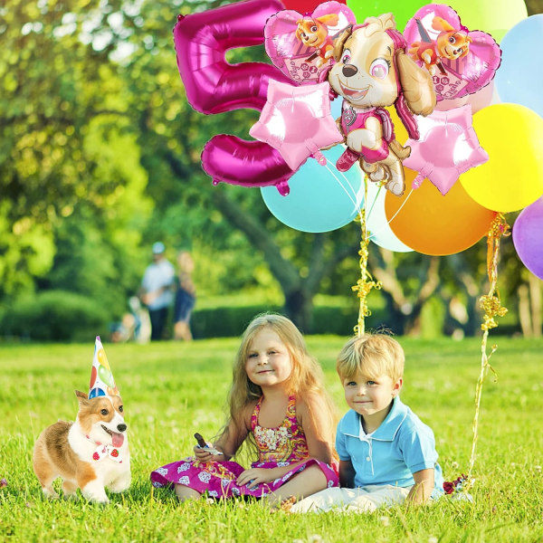 Fødselsdag Ballong Rosa Ballong Paw Patrol Ballong Jentefødselsdag