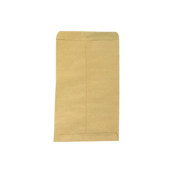 100 kpl Vintage Kraft-paperin siemenpussi