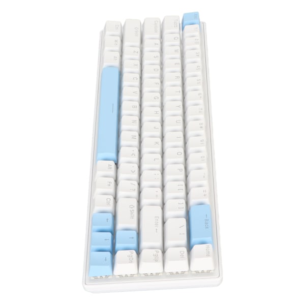 Gaming Keyboard USB 68 Keys Blue Switch N Key Rollover 10 RGB baggrundsbelyst tilstande Kabelført tastatur til stationær bærbar Hvid Blå