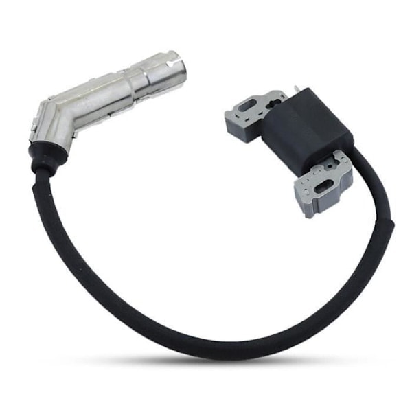 Sytytyspuola Magneto Ankkuri Yhteensopiva Briggs & Stratton 594626 595038 595304 Moottorin kanssa