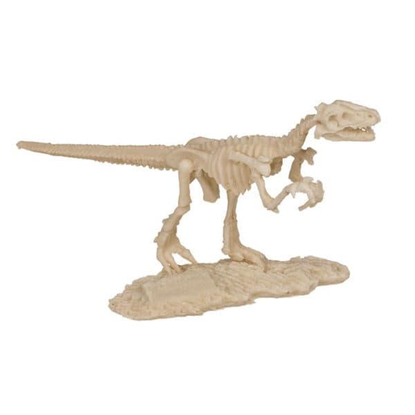 Utgravningssett - Dinosaur Brun