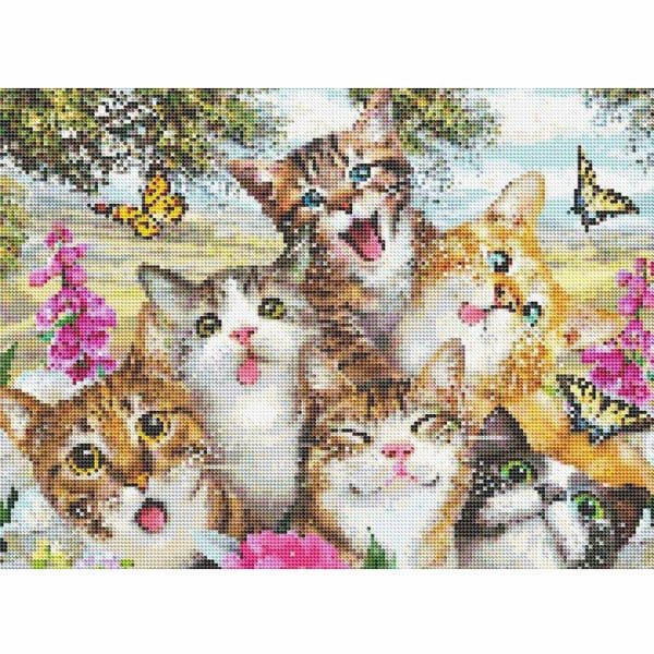 Fyrkantig diamantbroderisats 5d DIY, komplett 5d diamond painting kattmönster