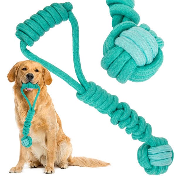 Draleke / Kampleke for Hund - Hundeleke