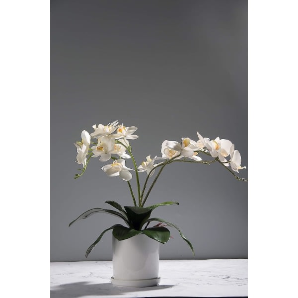 6-pak Phalaenopsis orkidéer löv konstgjorda verkligt udseende rötter Touch växter grøna konstgjorda löv arrangementmang