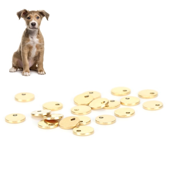 20 stk DIY Rund Pendel Rustfrit Stål Hundemærke med Hul Smykker Tilbehør Guld 6 mm