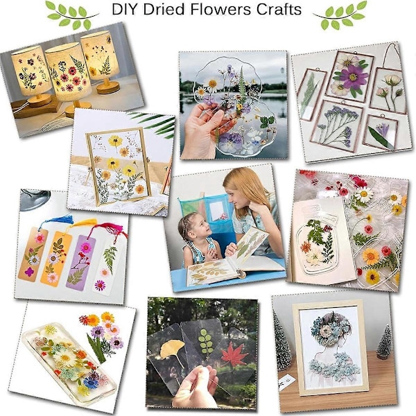 Professionelt blomsterpresse-sæt, 30X21cm DIY blomsterpresse-sæt til voksne til fremstilling af tørrede blomster &.pa