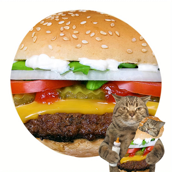 Rolig varm matfilt Supermjuk plysch filtar till sängsoffa Överkast Dekorativ camping picknick vinter varm filt Hamburger Hamburger Round70inch(1.8m))