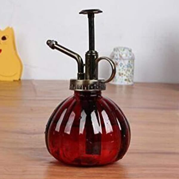 Vattenkanna Pumpa Glas Spruta Flaska för Växter, 250ml Red