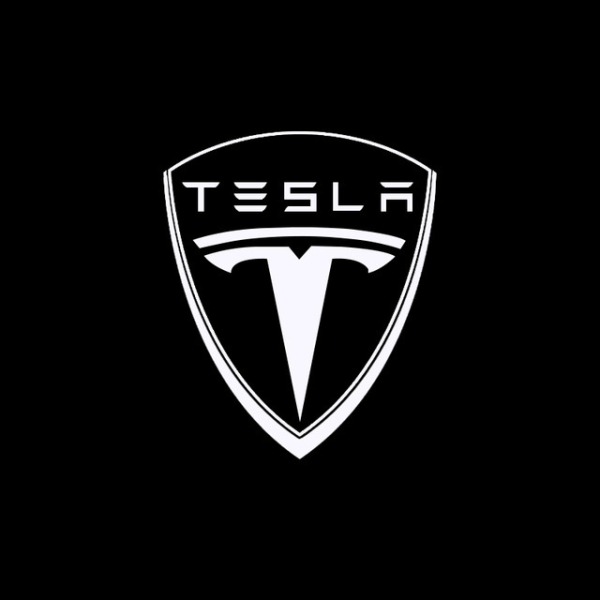 2 paket lämpliga för TESLA MODEL3 X modell LED dörrljus projektionsljus för Tesla välkomstljus, stil 1