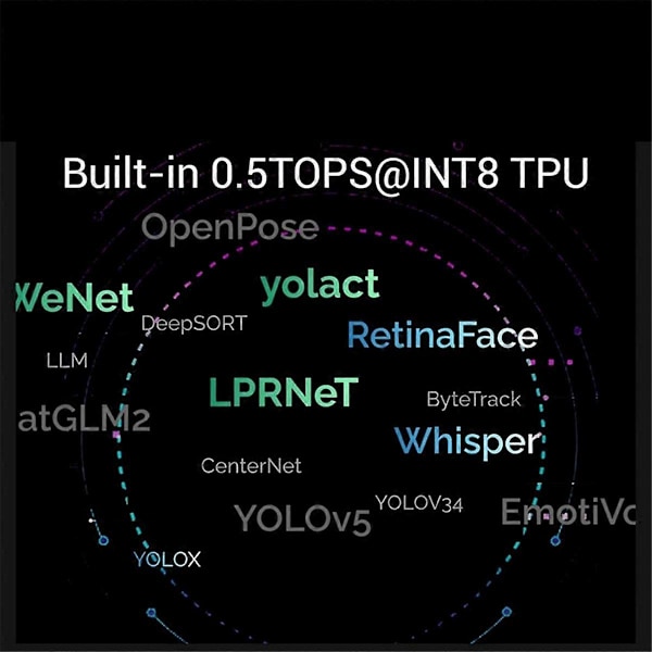 Milk-V Duo S Utvecklingskort EMMC 8G RISC-V ARM Stödjer En-klicksväxling ARM/RISC-V Uppstart UTAN WiFi