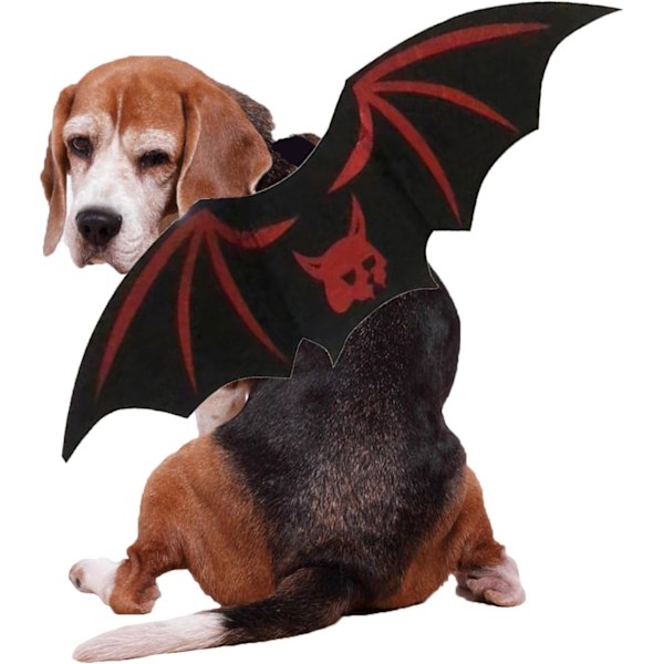 Halloween Kattekostumer, Sød Unik Halloween Kattekostume til Kat Killing Hvalp Lille Hund, Justerbar Blød Kæledyrs Outfit Tøj, (egnet til alle katte