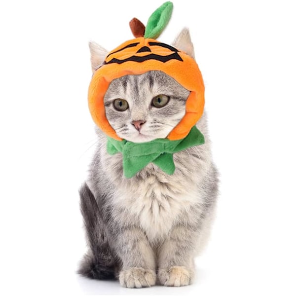 Halloween cat costume, cat pumpkin hat Cosplay costume hat for party decoration